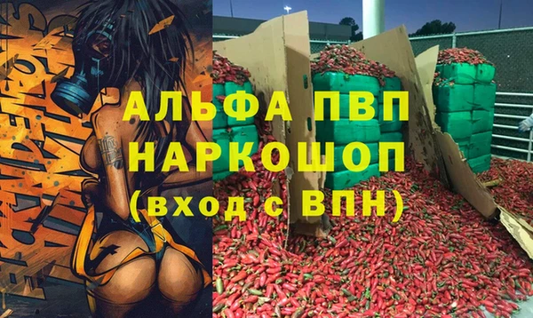 гашик Алзамай