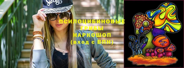 мяу мяу мука Алексеевка