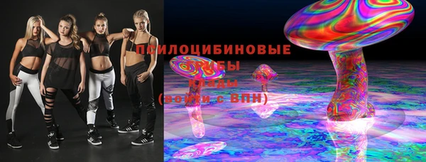 гашик Алзамай