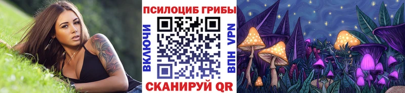 Галлюциногенные грибы Magic Shrooms  купить  цена  дарк нет телеграм  Каменногорск 